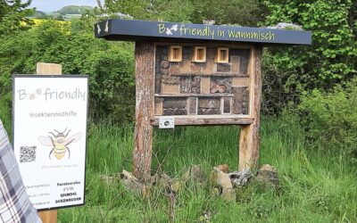 Tolles Insektenhotel in Oberwambach